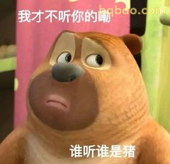 我才不听你的嘞