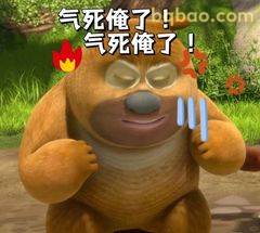 熊大气死俺了！