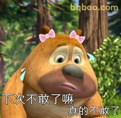 熊二戴花哭诉：下次不敢了