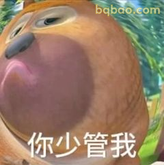 你少管我 熊二傲娇脸