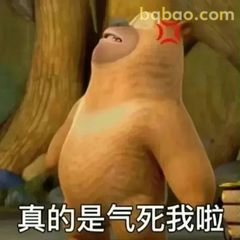 熊二气死我啦