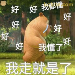 熊大捂脸我懂了