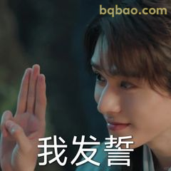 我发誓！认真承诺表情