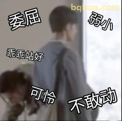 委屈巴巴不敢动