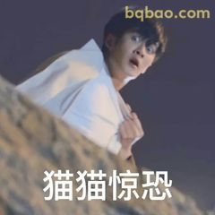 猫猫惊恐·沈翊式震惊