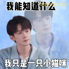 我能知道什么 我只是小猫咪