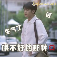 生气了哄不好的那种