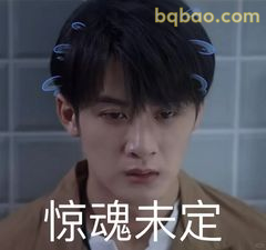 惊魂未定 沈翊表情包