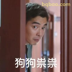 狗狗祟祟偷看