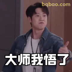 大师我悟了