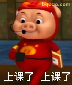 上课了上课了！猪猪侠喊你学习