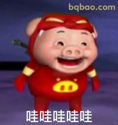 猪猪侠哇哇哇大笑