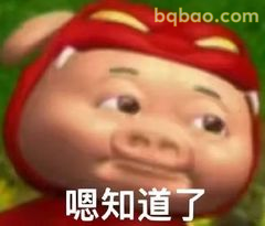 嗯知道了（猪猪侠版）