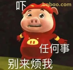 别来烦我！猪猪侠生气了