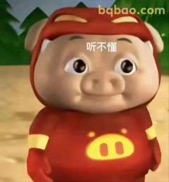猪猪侠听不懂懵圈表情