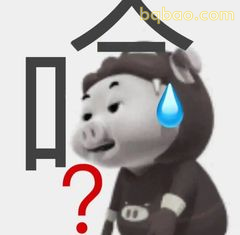 猪猪侠一脸问号加汗