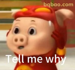 猪猪侠歪头问为什么