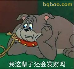 斯派克叹气问发财