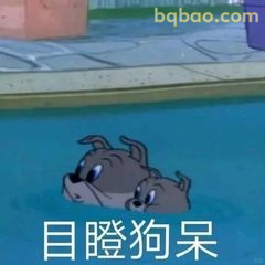 目瞪狗呆的斯派克