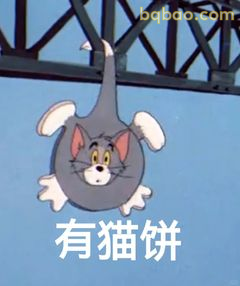 有猫饼！汤姆倒挂惊呆