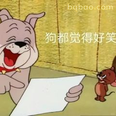 狗都觉得好笑