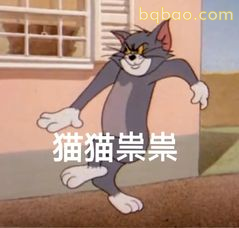 猫猫祟祟偷看
