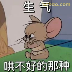 杰瑞生气哄不好那种