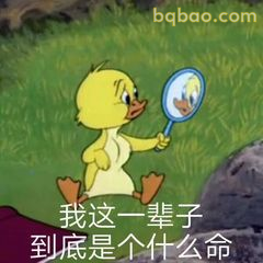 小鸭照镜叹命运