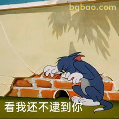 汤姆趴墙偷看：看我还不逮到你
