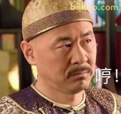 皇上哼一声表情包