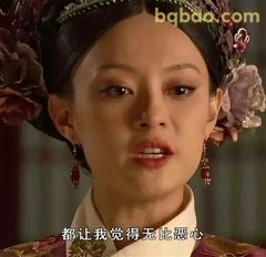 甄嬛无语凝噎表情