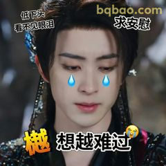 越想越难过 梵星落泪