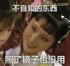 照了镜子也没用