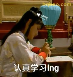 认真学习ing