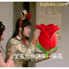 宝玉送花给你啦