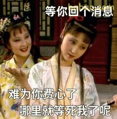 等你回消息 难为你费心了