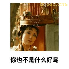 你也不是什么好鸟
