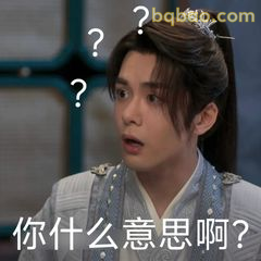你什么意思啊？