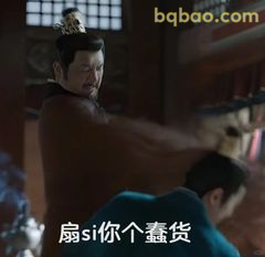 扇你个蠢货