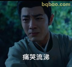 痛哭流涕·藏海崩溃瞬间