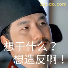 想干什么？想造反啊！