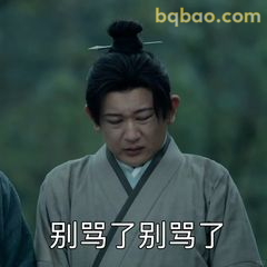 别骂了别骂了