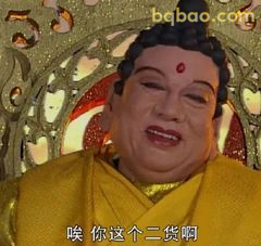 唉你这个二货啊