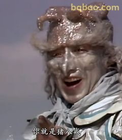 你就是猪八戒