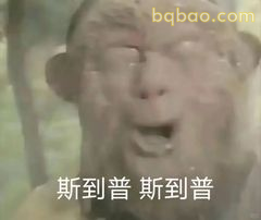 斯到普斯到普