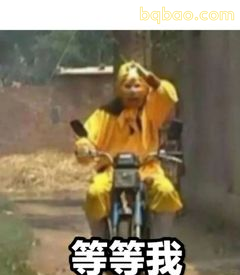 等等我！孙悟空骑摩托