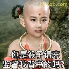 你是猴哥请来监督我背书的吗