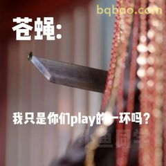 苍蝇：我只是你们play的一环吗？
