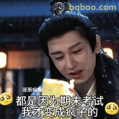 都是因为期末考试我才变成疯子的