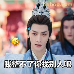 我整不了你找别人吧